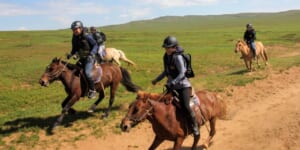 乗馬経験者限定！リバーサイドキャンプ騎馬トレック６日間